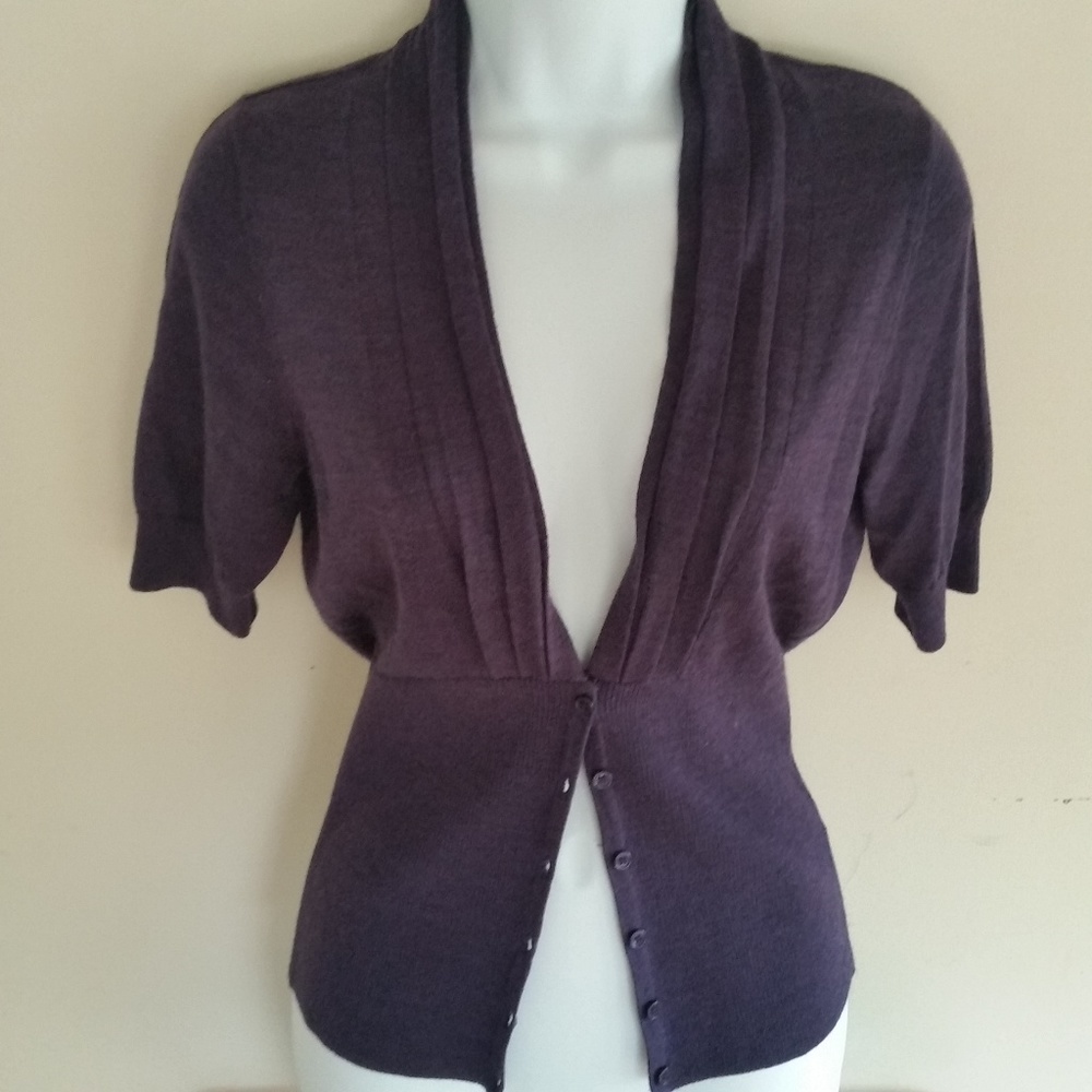 Plum Peplum Sweater - Limited Brand